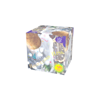 Новогодняя ночь Салют купить в Самаре | samara.salutsklad.ru