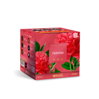 Пионы Салют купить в Самаре | samara.salutsklad.ru