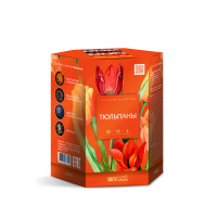 Тюльпаны Салют купить в Самаре | samara.salutsklad.ru