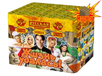 Жизнь удалась Фейерверк купить в Самаре | samara.salutsklad.ru