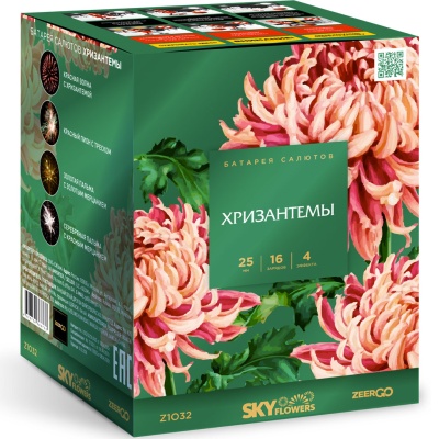 Хризантемы Фейерверк купить в Самаре | samara.salutsklad.ru